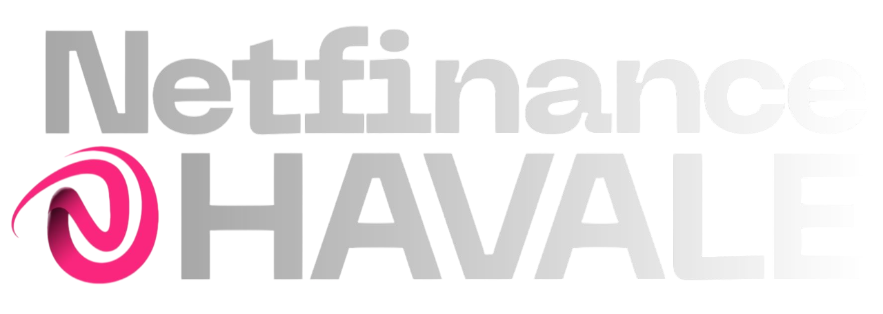 NETFİNANS HAVALE